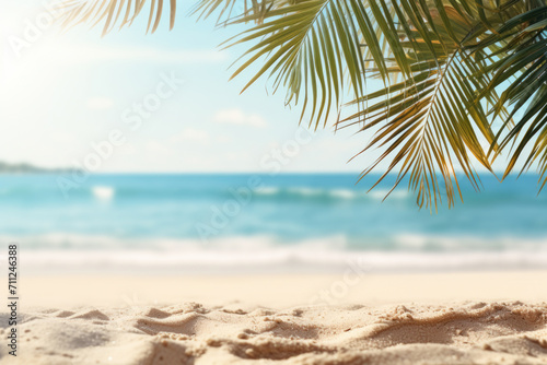 Sandy Beach with Palm Tree © vefimov