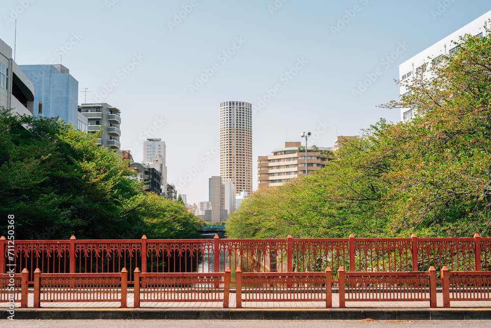 Nakameguro river and city view in Tokyo, Japan
