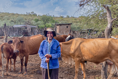 african old herder with the cows in the field , village in Botswana