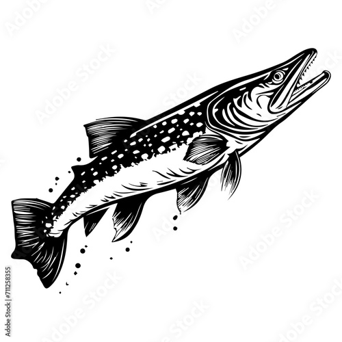 northern pike fish black silhouette logo svg vector, pike fish  icon illustration.