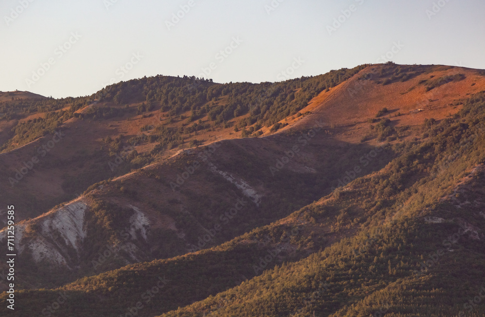Mountains overgrown with green trees at sunset