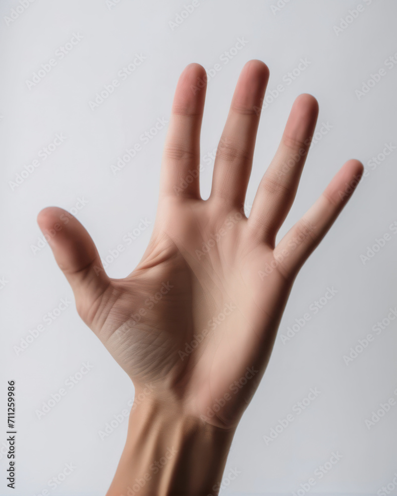 hand isolated on white hand isolated on white