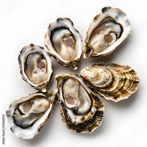 oysters on a white background