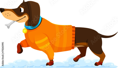 Cartoon dachshund dog puppy character adorned in cozy winter clothes, brims with adorable charm. Cute vector pet wear snug sweater, ready to embrace the winter wonderland with bone and wagging tail
