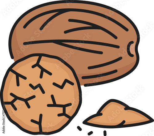 Fragrant or true nutmeg whole and grinded, color outline icon. Vector culinary spice, whole and grounded. Ground spice of mace