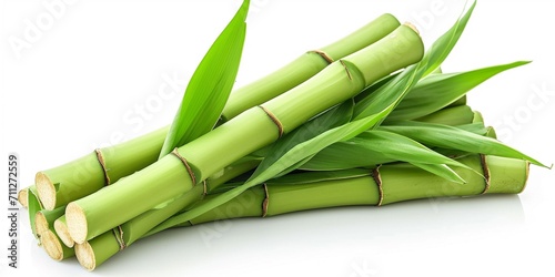 Bamboo Shoot isolated on white background 