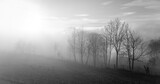 Foggy wide angle panorama in Altena with low sun and bare trees in rural landscape. Misty scenery in Sauerland, Germany on a  winters day. Black and white mystic atmosphere in rural area.