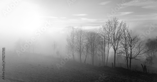 Foggy wide angle panorama in Altena with low sun and bare trees in rural landscape. Misty scenery in Sauerland, Germany on a winters day. Black and white mystic atmosphere in rural area.