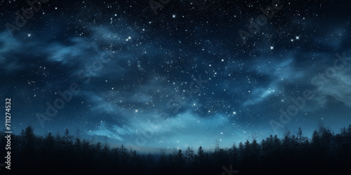 starry night sky   Star filled night forest landscape with pine trees and dark sky. Star filled night forest landscape with pine trees and dark sky