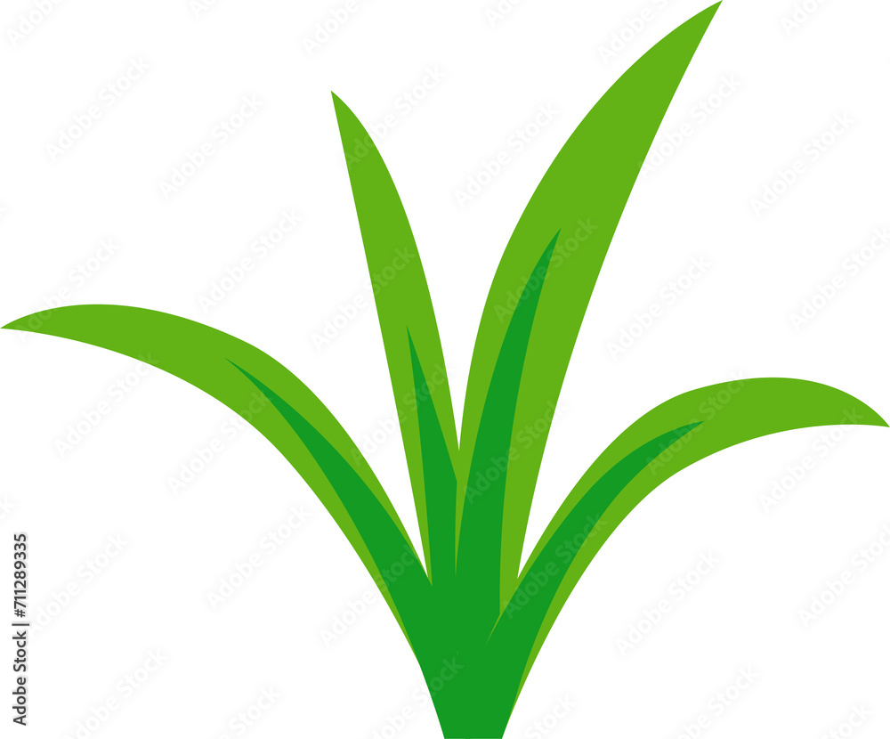 Obraz premium Green plant, jungle and dinosaur era environment