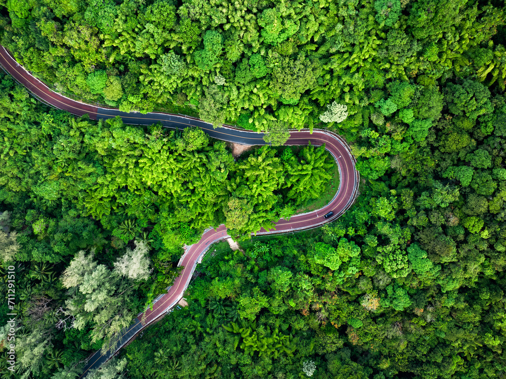 View from above, stunning aerial view of a road surrounded by green vegetations and palm trees. Phuket, Thailand.