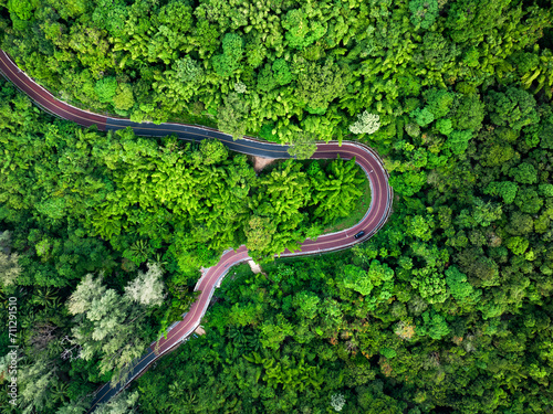 View from above, stunning aerial view of a road surrounded by green vegetations and palm trees. Phuket, Thailand. © Travel Wild