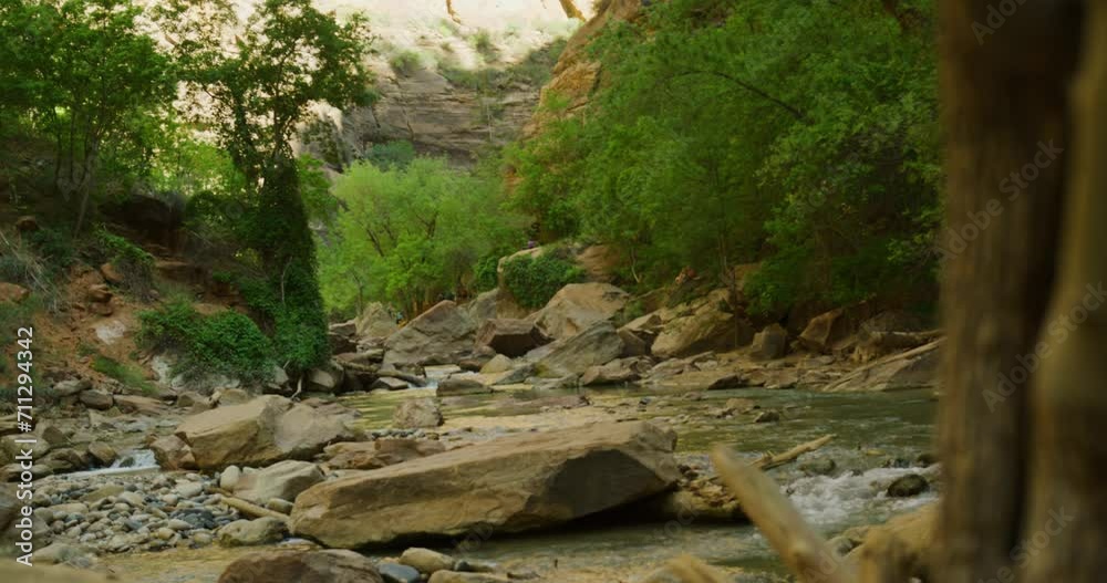 Reveal shot coming out of a tree trunk to reveal large boulders sitting on a river bed with a small stream running through. Reveal shot coming out of a tree trunk to reveal large boulders sitting on a river bed with a small stream running through.
