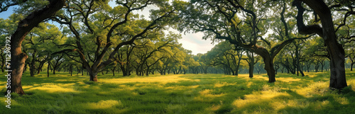 A wide panorama of an oak forest in spring. Generative AI.