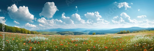 Wide panorama of a meadow with spring flowers. Generative AI. photo
