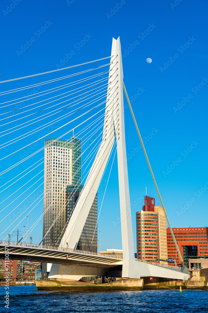Obraz premium view of the Erasmus Bridge, Rotterdam, Holland, Netherlands