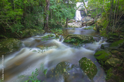 Fototapeta Naklejka Na Ścianę i Meble -  waterfall in the forest at Phukradung National park of Thailand