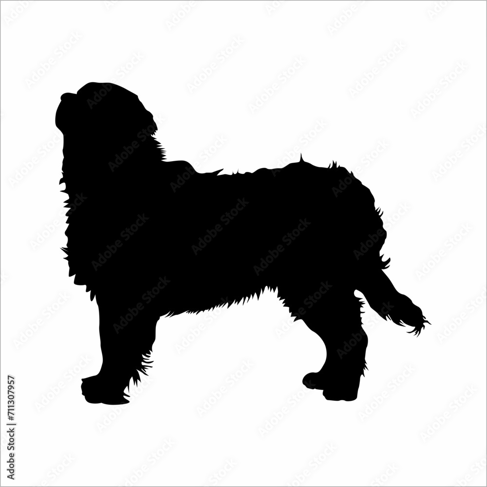 Silhouette of a dog