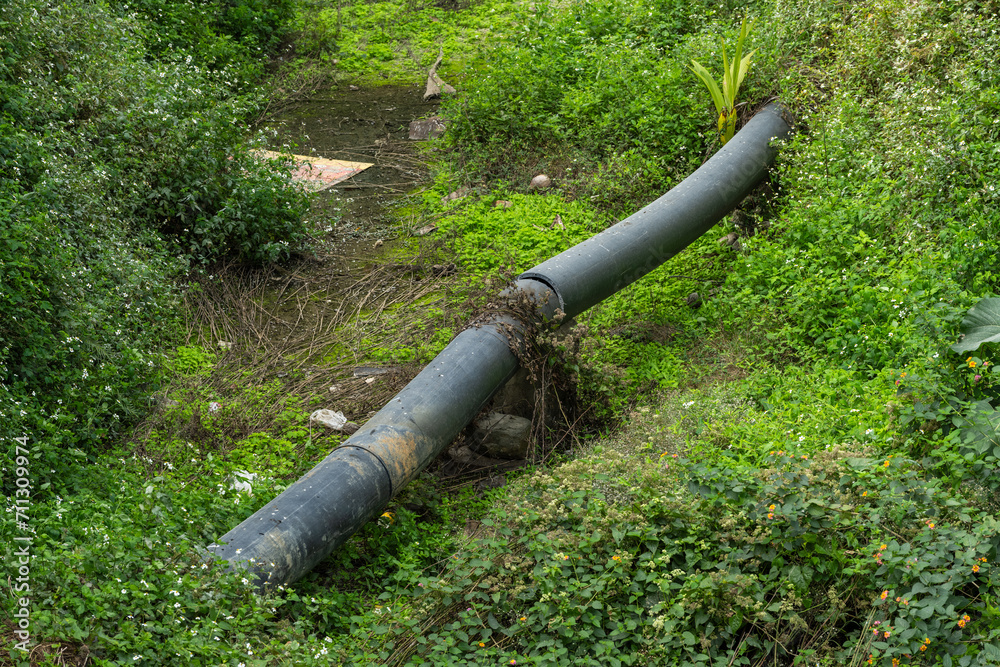 abandoned wild field with water pipe and green plant abandoned wild field with water pipe and green plant