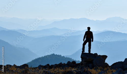 Картината върху платно Watching the Magnificent View