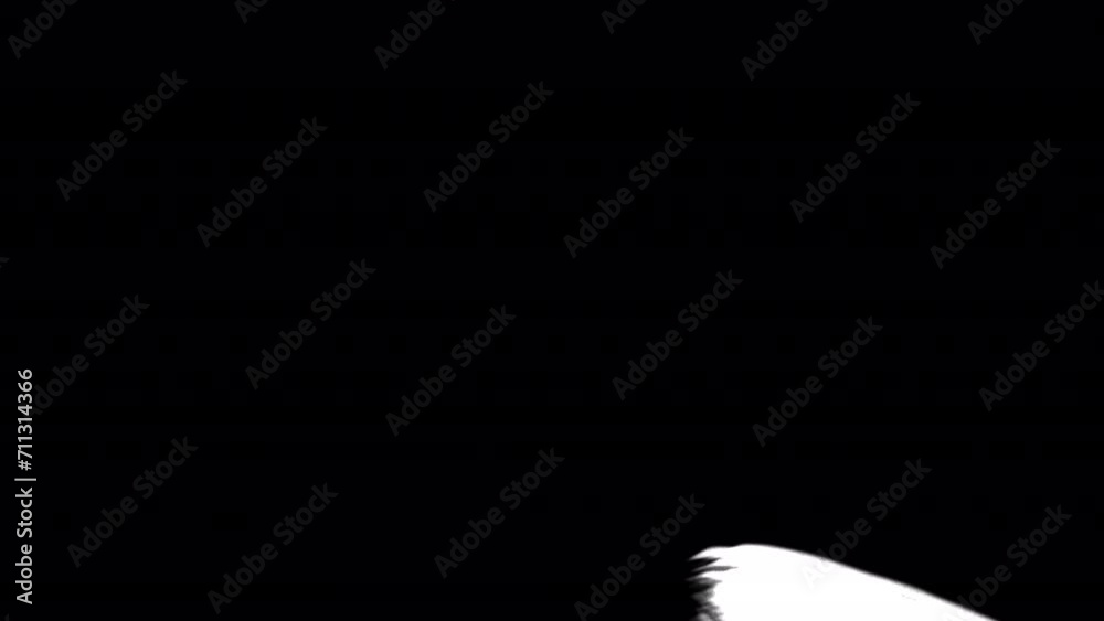 Snow Scribble Transitions is a dynamic and doodle animation template that includes a collection of cartoon transitions. 4K resolution and alpha channel
