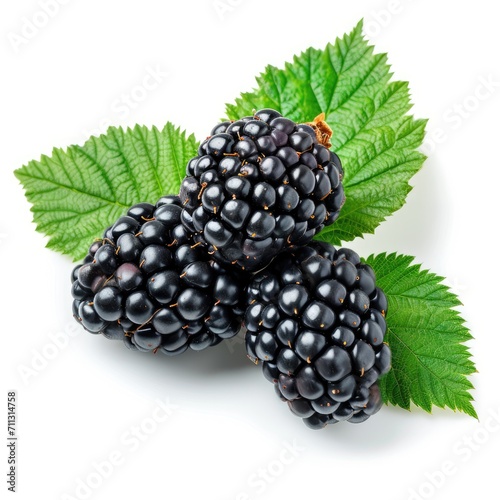 beautiful blackberries isolated on white background