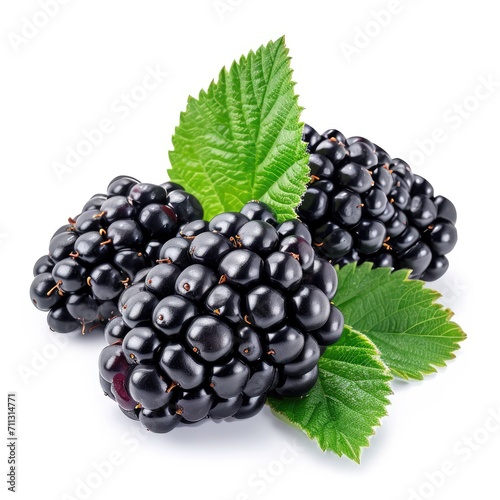 beautiful blackberries isolated on white background