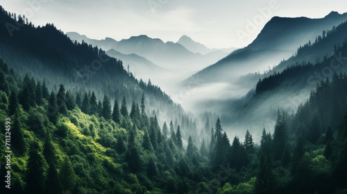 mountainous terrain, serene forested slopes leading to grand peaks shrouded in mist - Generative AI © Huzaifa