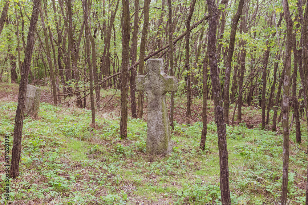 Ancient gravestones in an abandoned cemetery on the Trakhtemyriv Peninsula. Ukraine Ancient gravestones in an abandoned cemetery on the Trakhtemyriv Peninsula. Ukraine