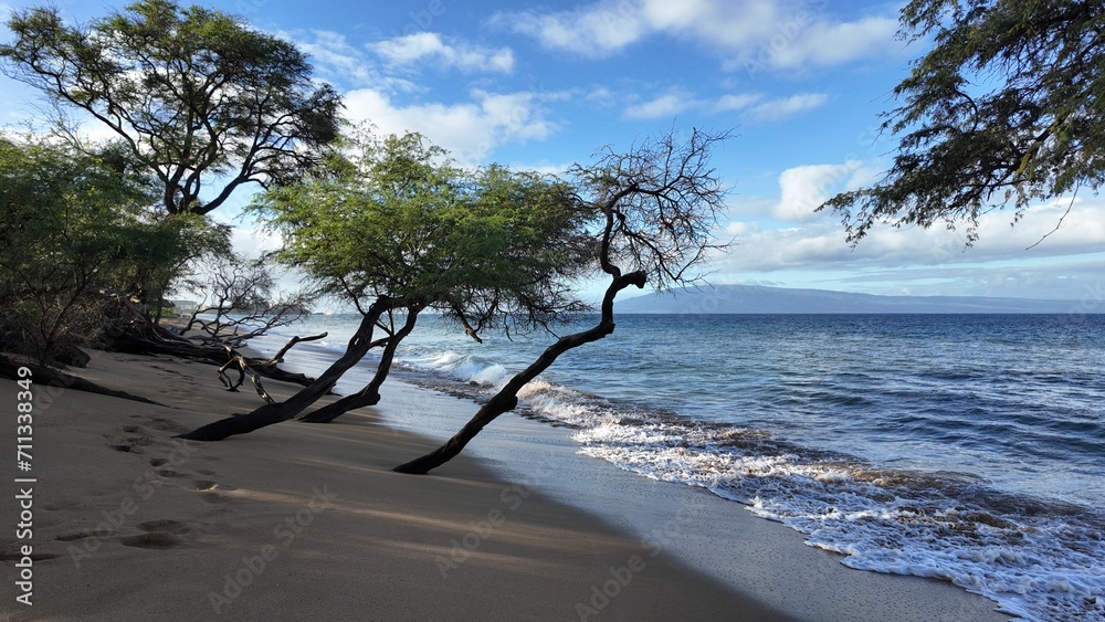 maui beach, beach view, summer days on the beach, maui beach, beach view, summer days on the beach,