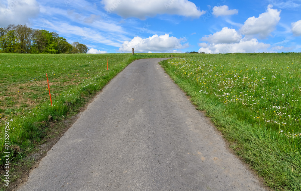 Paved road up a hill between agricultural fields in the rural countryside with blue sky and clouds
