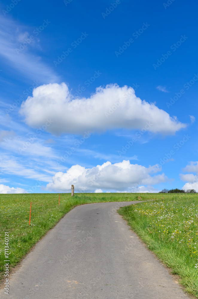 Paved road up a hill between agricultural fields in the rural countryside with blue sky and clouds