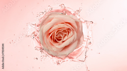 Close-up of rose blossom fa...