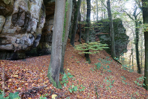 Felsen bei Consdorf im Muellerthal, Luxemburg photo