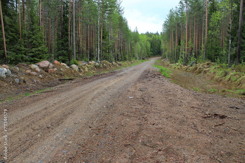 A road in the forest leading to the horizon. Republic of Karelia. Russia.