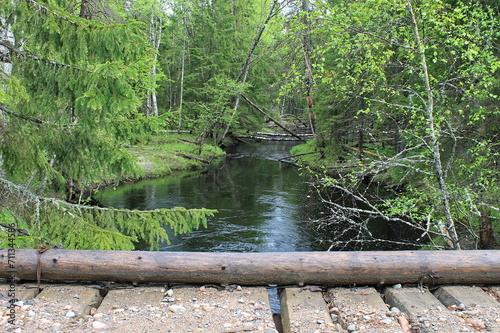 A river with rapids flowing in the wake of a wild forest. Republic of Karelia. Russia.