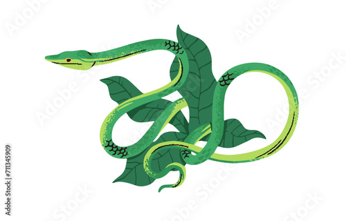 Green vine snake in leaves. Exotic poison serpent with long slender body. Tropical venomous reptile from jungle. Rainforest fauna, terrarium pet. Flat isolated vector illustration on white background