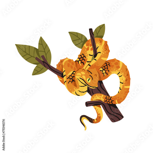 Green bush or leaf viper rests on tree branch. Exotic yellow snake with horns on head. Tropical venomous serpent. African rainforest animal. Flat isolated vector illustration on white background