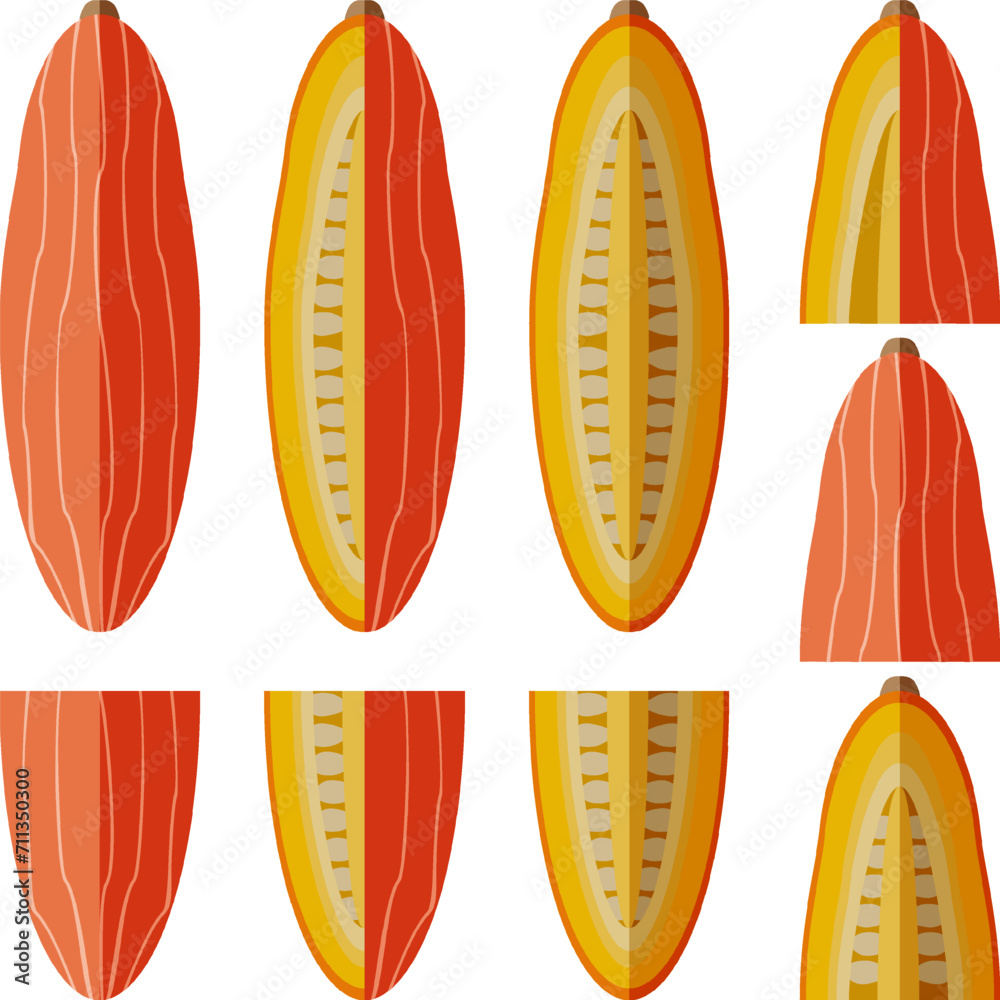 Set of Pink Jumbo Banana Squash Pumpkin Winter squash. Cucurbita maxima. Fruits and vegetables. Flat style. Isolated vector illustration. Set of Pink Jumbo Banana Squash Pumpkin Winter squash. Cucurbita maxima. Fruits and vegetables. Flat style. Isolated vector illustration.