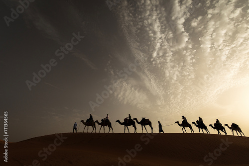 Silhouette of camel caravan with beautiful clouds in background in Sahara, Merzouga, Morocco © danmir12