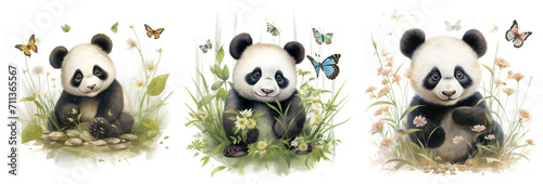 A delightful nursery composition of a baby panda photo