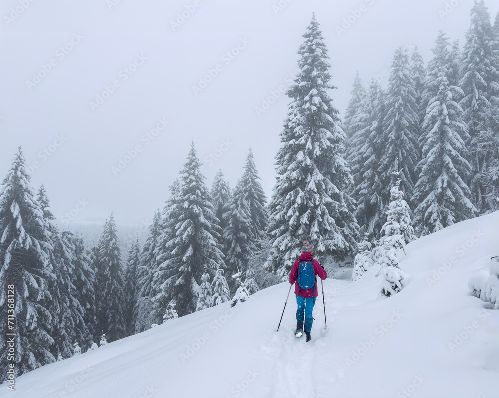 nice and active senior woman hiking with snow shoes in deep powder snow in the Allgau alps, Bavaria, Germany