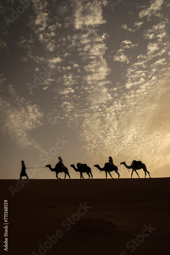 Silhouette of camel caravan with beautiful clouds in background in Sahara  Merzouga  Morocco