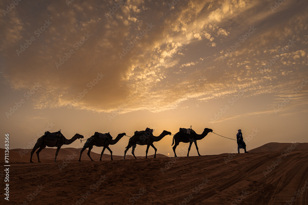 Silhouette of camel caravan with beautiful clouds in background in Sahara, Merzouga, Morocco