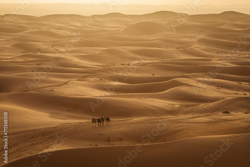 Camel caravan between beautiful dunes of desert in Sahara, Merzouga, Morocco
