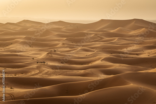 Camel caravan between beautiful dunes of desert in Sahara  Merzouga  Morocco