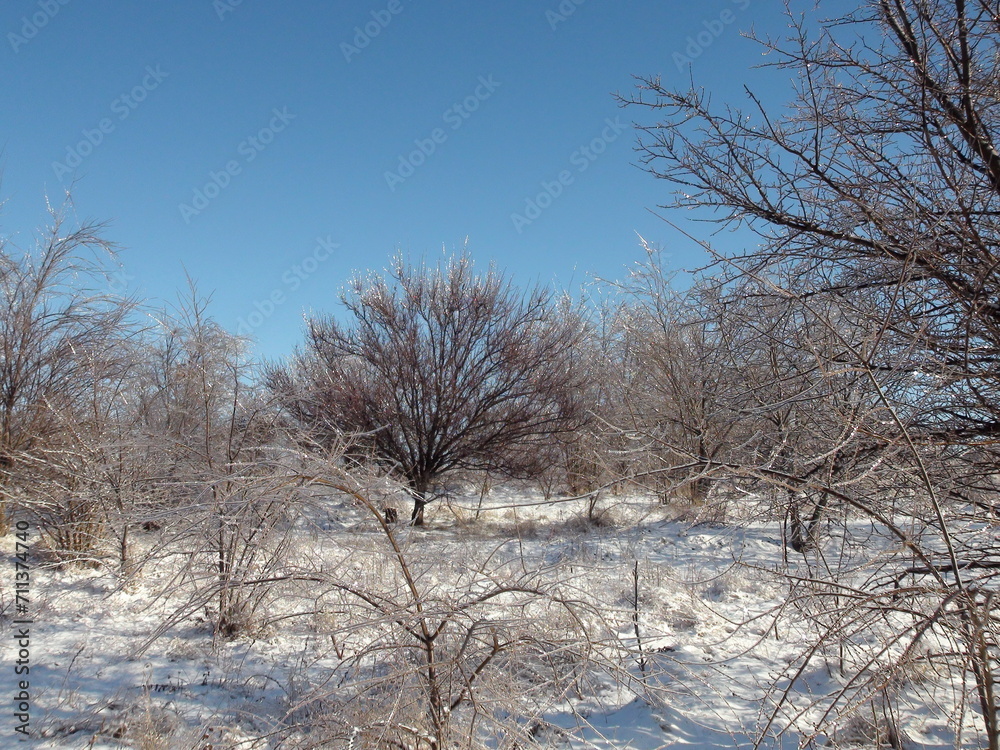 A unique natural picture of a combination of pure sky blue colors and a bright white snow carpet covering the foot of the steppe forest strip. A unique natural picture of a combination of pure sky blue colors and a bright white snow carpet covering the foot of the steppe forest strip.