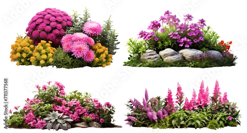 Set of garden flowers, cut out photo