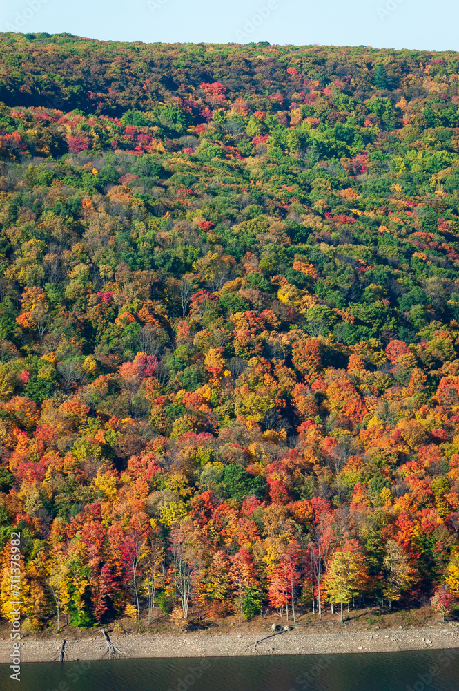 The Beautiful Autumn Leaves at Allegheny National Forest