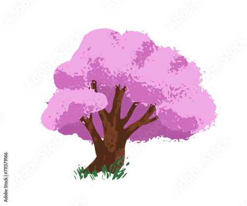 Cherry blossom tree. Japanese plant, sakura blooms on branches, trunk. Bloomi...